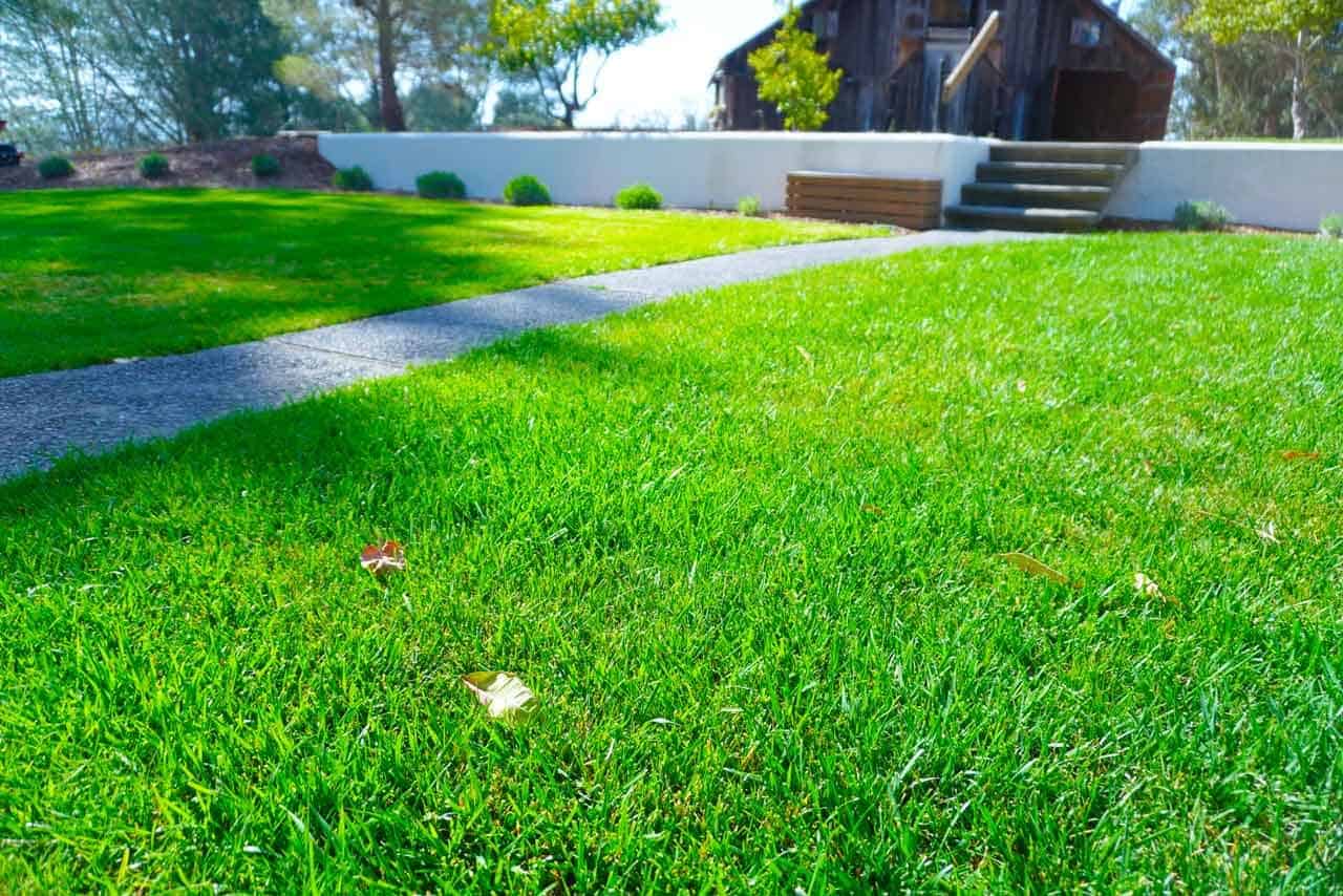 Lawn